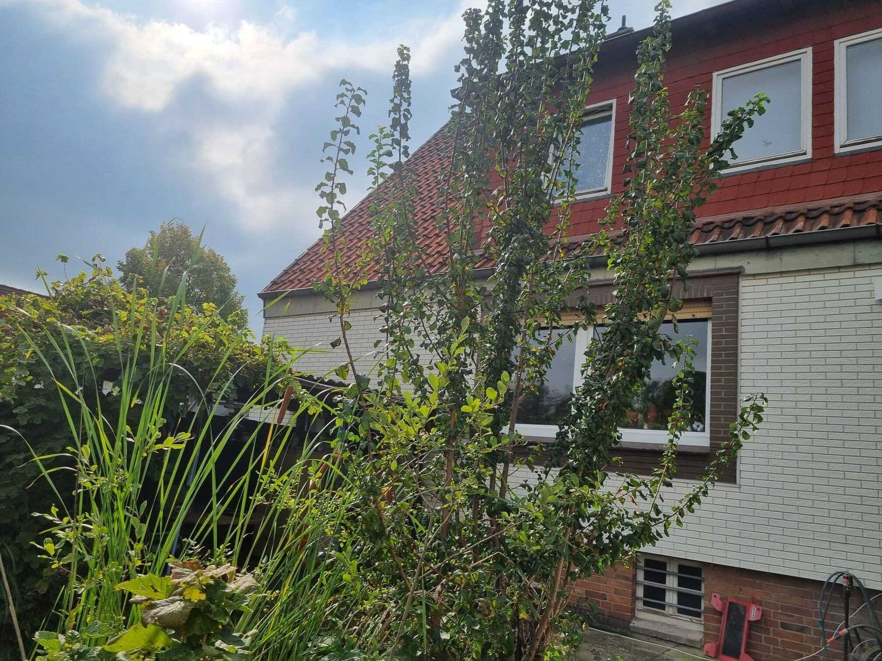 Ein- bis Zweifamilienhaus im Grünen mit viel Potenzial, Bild 3