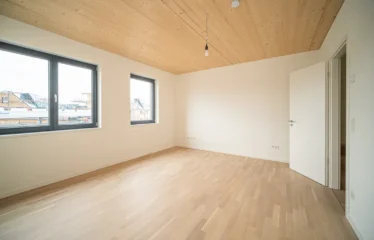 Modernes Reihenhaus mit Terrasse (Berlin)