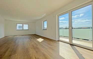 Luxus am Himmel: Klimatisiertes, energieeffizientes A+ Penthouse